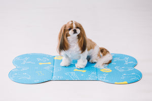 SAPSAL Pet mat-Myfriends Blue (Large)