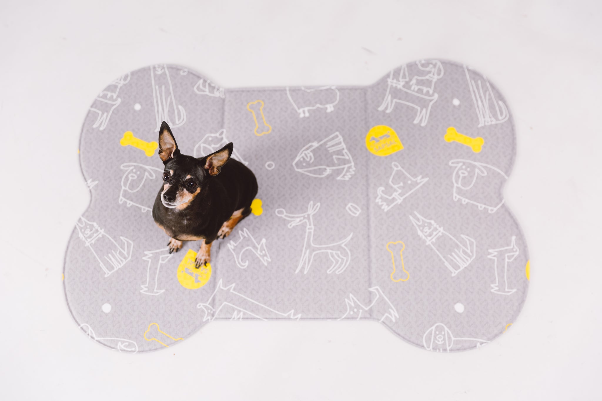 SAPSAL Pet mat-Myfriends Grey (Small)